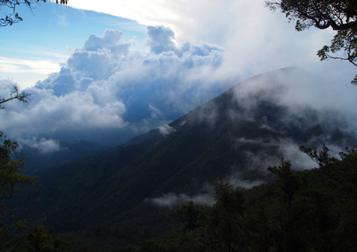 Blue Mountains and John Crow Mountains National Park Photo credit: gd1student.wikispaces.com CC BY-SA 3.0