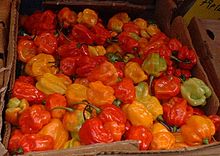 Scotch Bonnet Peppers Photo credit: Secretlondon CC BY-SA 3.0