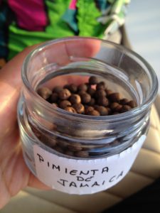 Pimenta-de-Jamaica, Allspice Berries