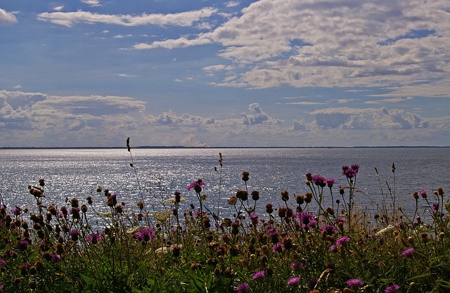 Sea view, Funen